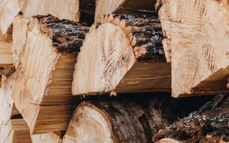 brown wood logs in close up photography