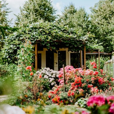 building covered with green plants and surrounded by petaled flowers