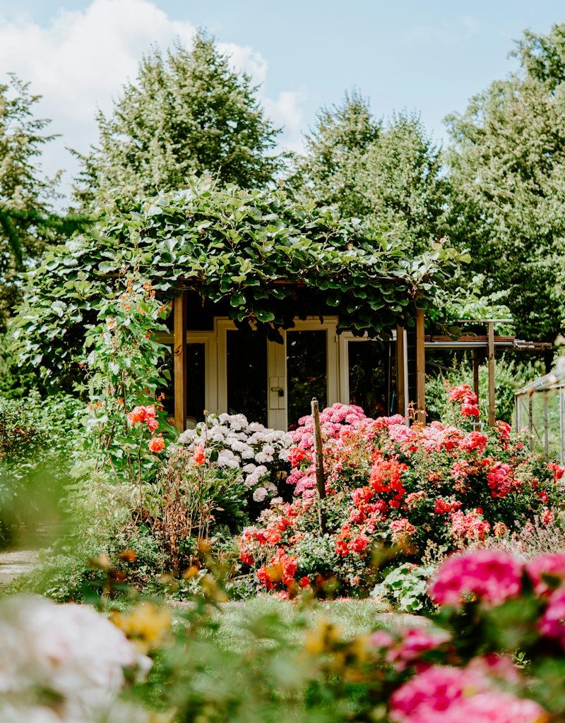 building covered with green plants and surrounded by petaled flowers