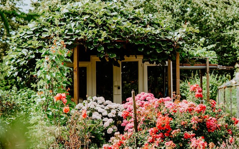 building covered with green plants and surrounded by petaled flowers