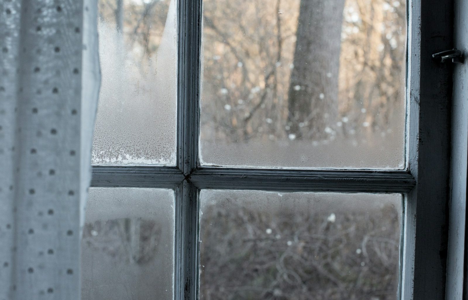 white window with curtain