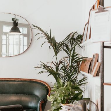 gray fan beside indoor green plants