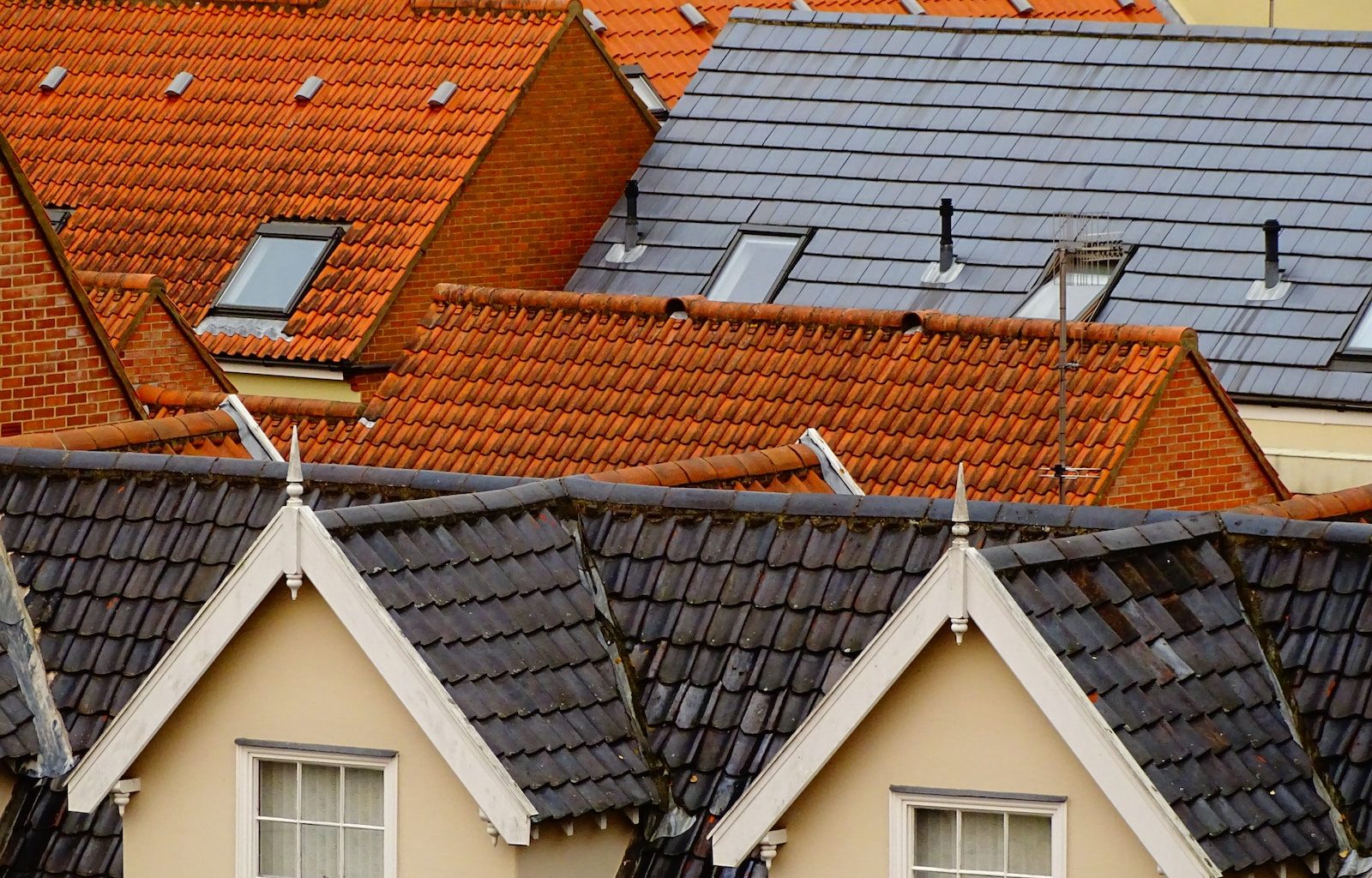 bird's eye view of assorted-color roof tiles