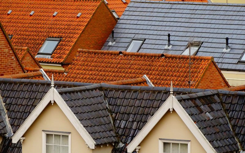 bird's eye view of assorted-color roof tiles