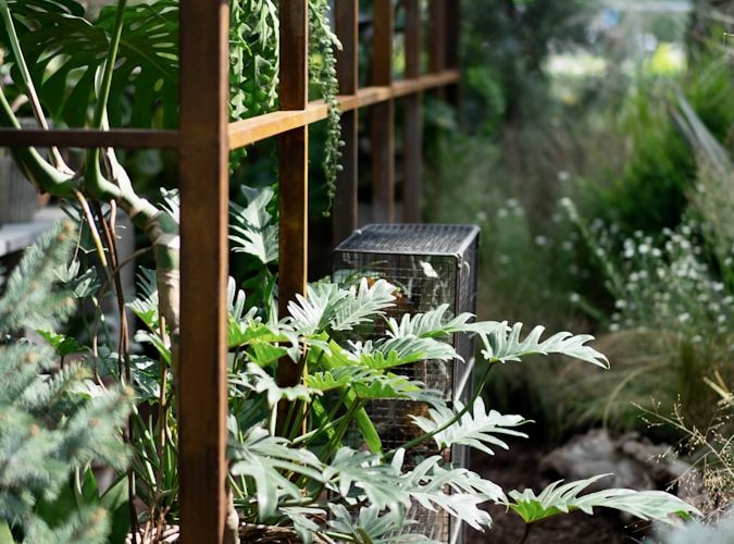 green plant on brown wooden pot