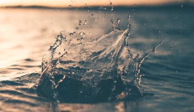 selective focus photography of water splash