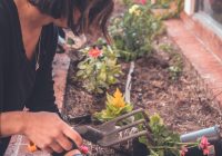 woman holding garden fork