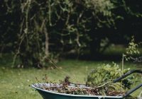 brown wooden boat on green grass field during daytime