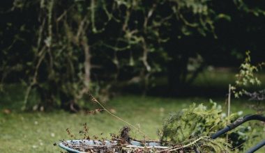 brown wooden boat on green grass field during daytime