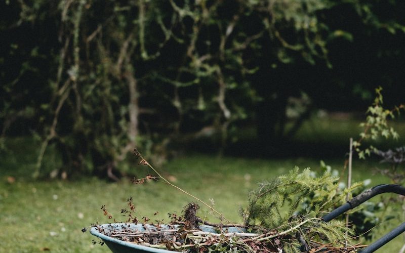 brown wooden boat on green grass field during daytime