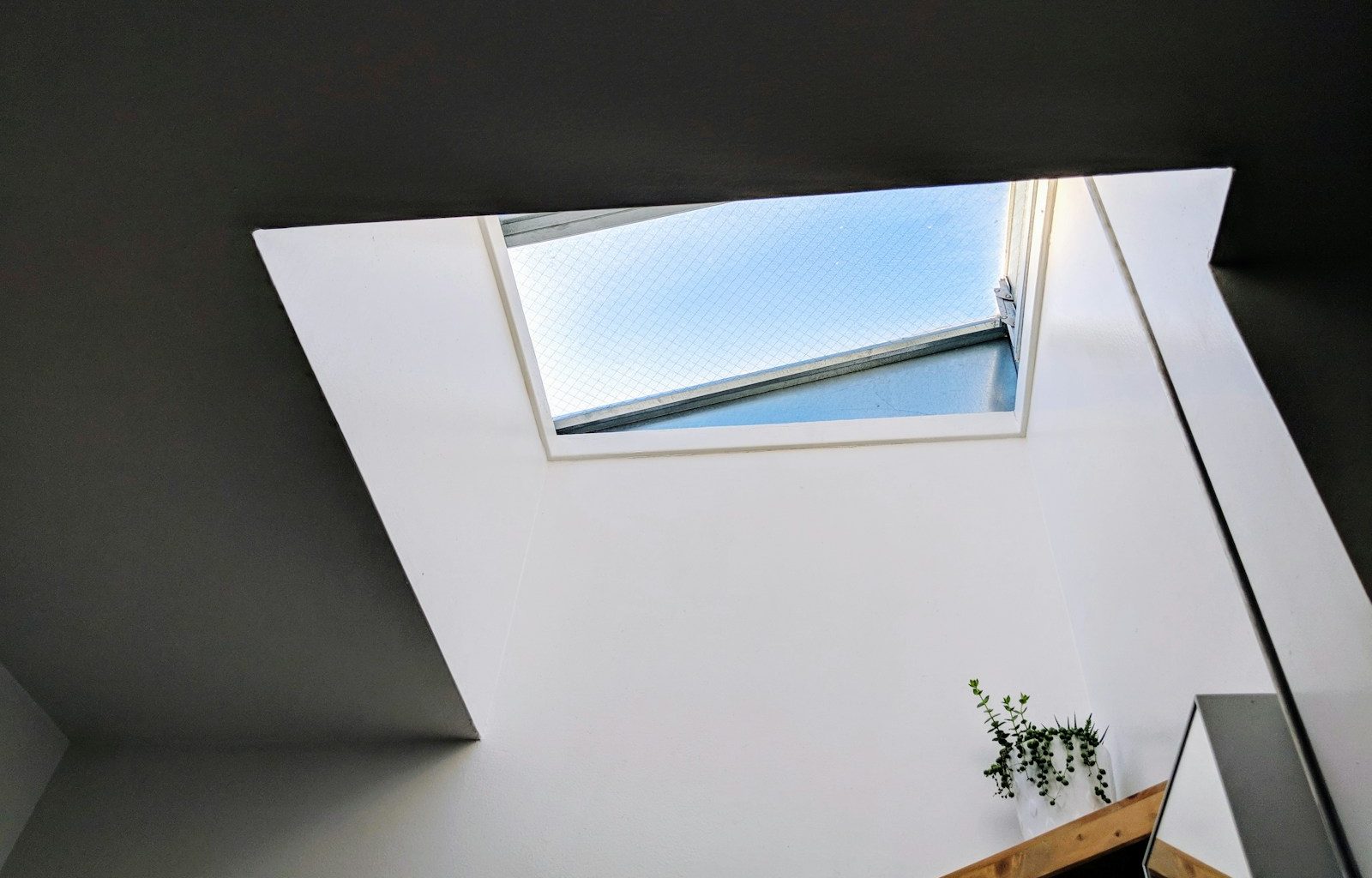 photo of white wall paint