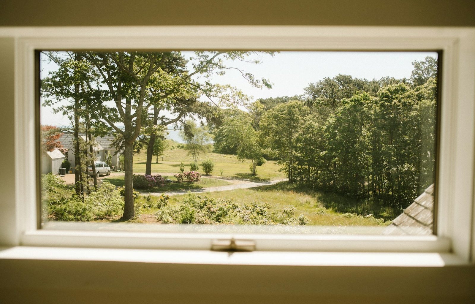 a view of a yard through a window