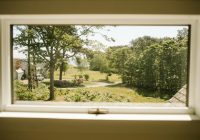 a view of a yard through a window