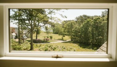 a view of a yard through a window