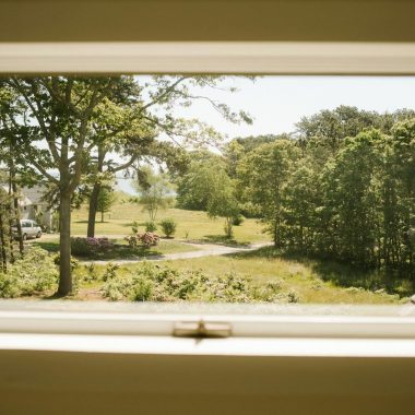 a view of a yard through a window