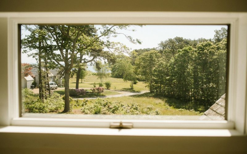 a view of a yard through a window