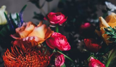 assorted petaled flowers centerpiece inside room